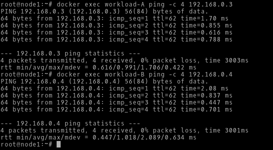 Prueba de ping exitosa