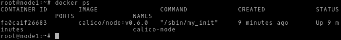 Contenedores Docker en ejecución