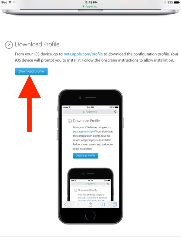 Descarga el perfil beta