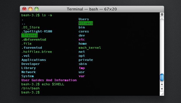 Terminal de color