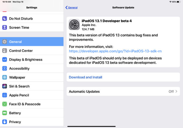 Desarrollador iPadOS 13.1 beta 4