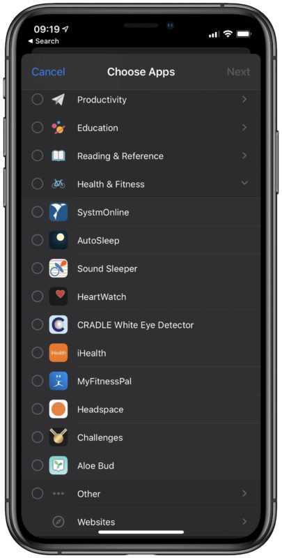 Toque la aplicación o categoría que desea limitar