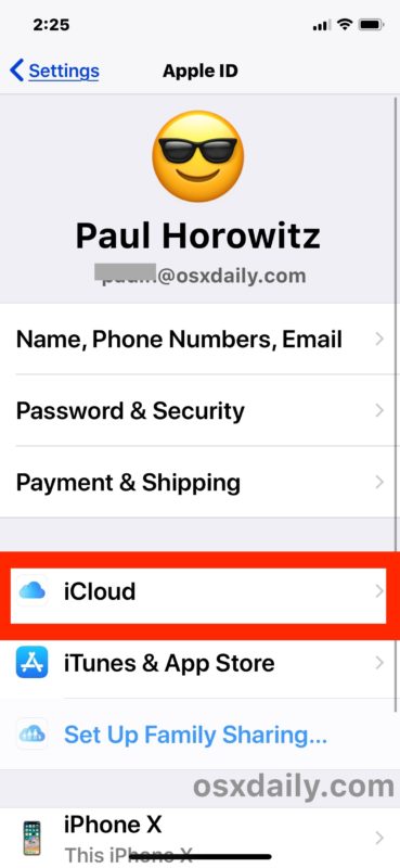 Cómo eliminar copias de seguridad de iCloud en iPhone o iPad