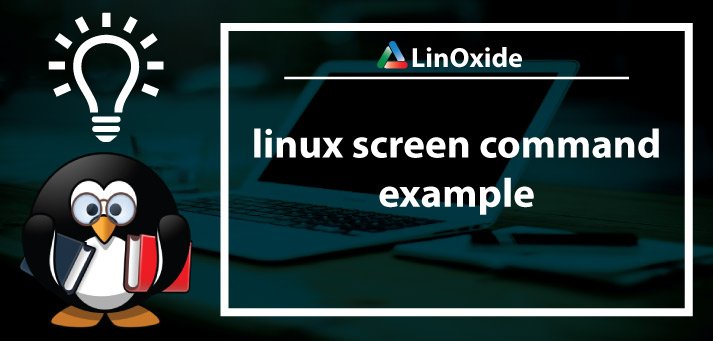 ejemplos de comandos de pantalla de linux