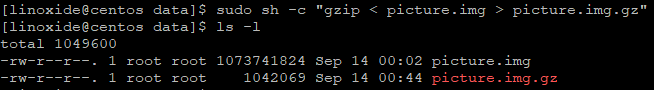 redirección de shell gzip