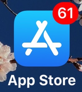 Actualizaciones de la App Store en iOS