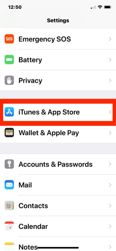 Habilitar las actualizaciones automáticas de la tienda de aplicaciones de iOS