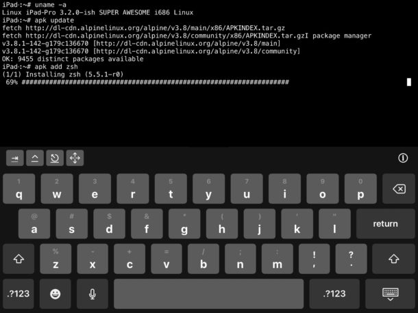 Uso de apk para agregar paquetes al shell iSH de Linux en iOS