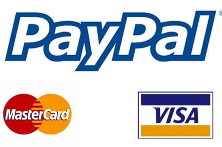 Servicio PayPal