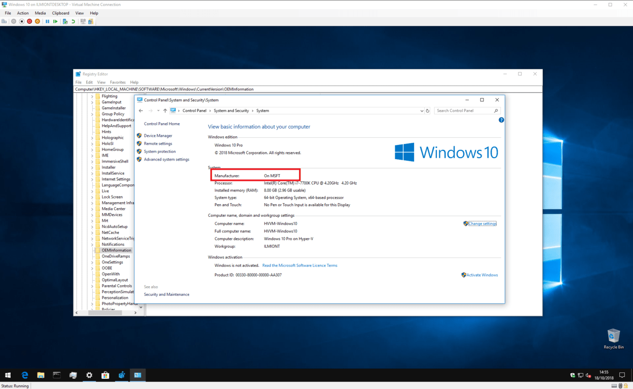 Captura de pantalla de la información del sistema Windows 10 con detalles personalizados