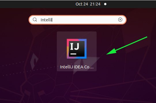 Inicie IntelliJ en Ubuntu