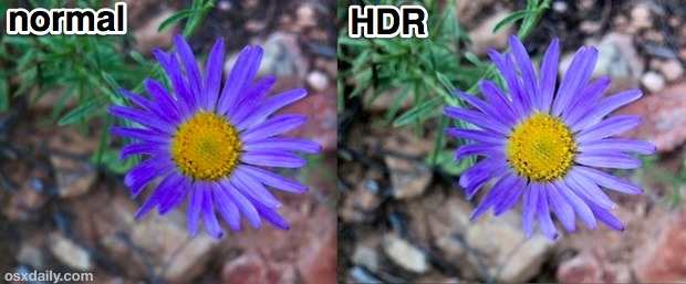 Disparo normal iPhoneR HD vs Macro