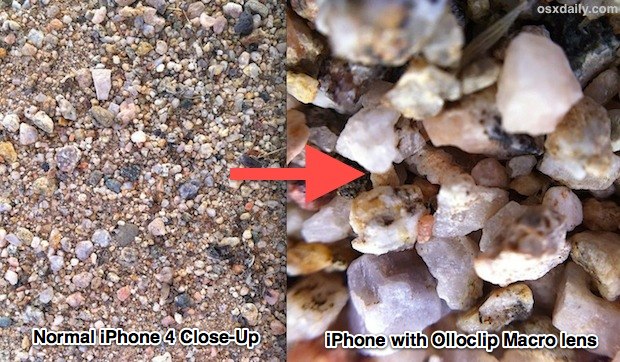 Cámara del iPhone vs lente macro Olloclip