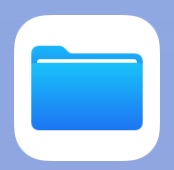 Archivos en el icono de la aplicación iOS
