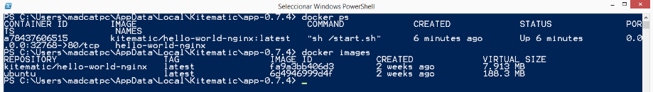 Docker CLI PowerShell