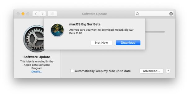 Descargar macOS Big Sur beta en la actualización de software