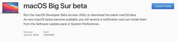 Descarga MacOS Big Sur beta