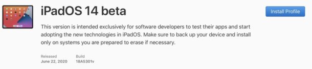 Perfil de descarga beta de iPadOS 14