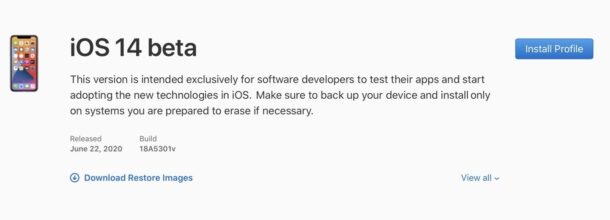 Descargar la versión beta para el desarrollador de iOS 14