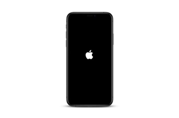 Cómo forzar el reinicio del iPhone 12. iPhone 12 Mini, iPhone 12 Pro