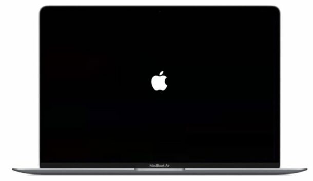 Cómo iniciar Apple Silicon M1 Mac en modo de recuperación