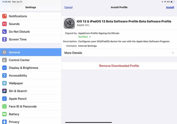 Los perfiles beta de iOS 13 y iPadOS 13 deben estar instalados