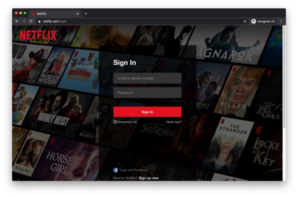 Conectarse a Netflix