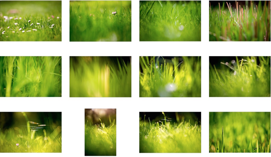 Colección de fondos de pantalla con campos de hierba verde