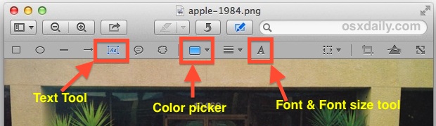 Agregue texto a las fotos, cambie el color de la fuente, ajuste el tamaño de la fuente y más.