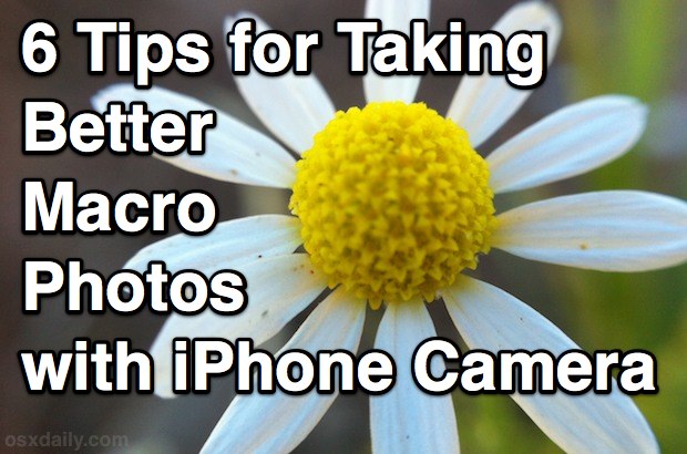 Consejos para mejorar las fotos macro con iPhone