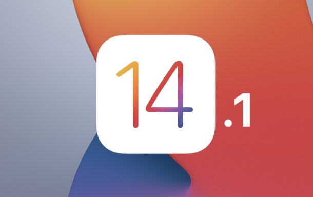 iOS 14.1 y iPadOS 14.1