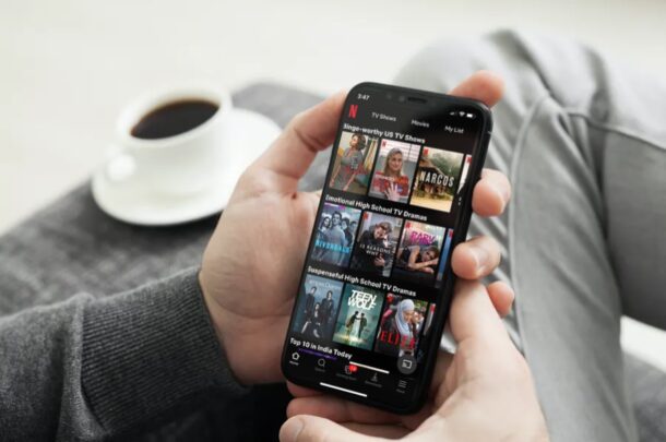 Cómo bloquear y desbloquear la pantalla en Netflix en iPhone y iPad