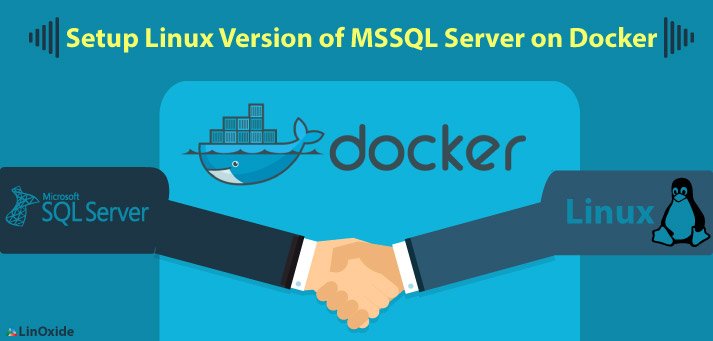 servidor mssql linux docker