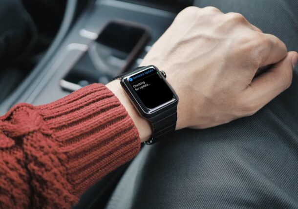 Cómo desactivar las actualizaciones automáticas del Apple Watch