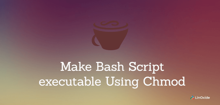 hacer ejecutable el script bash