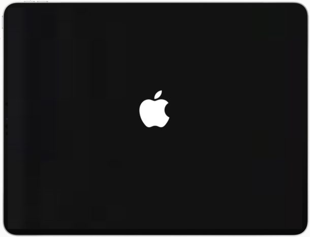 iPad bloqueado en la pantalla del logotipo de Apple