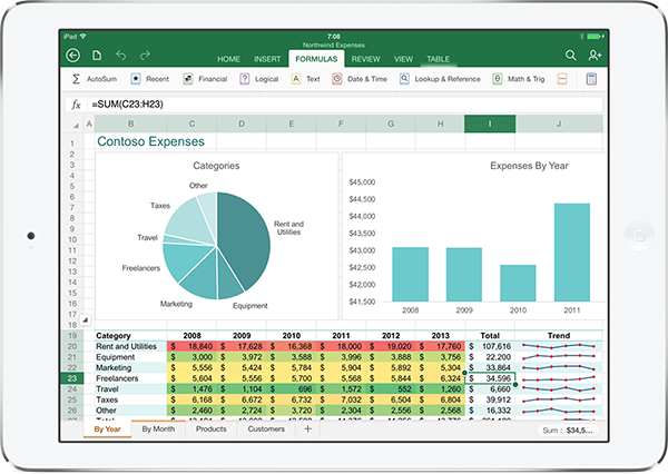 Microsoft Excel en iPad