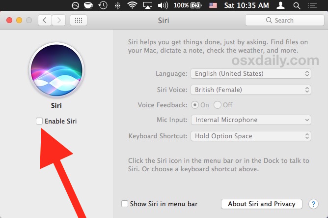 Desactiva Siri en tu Mac