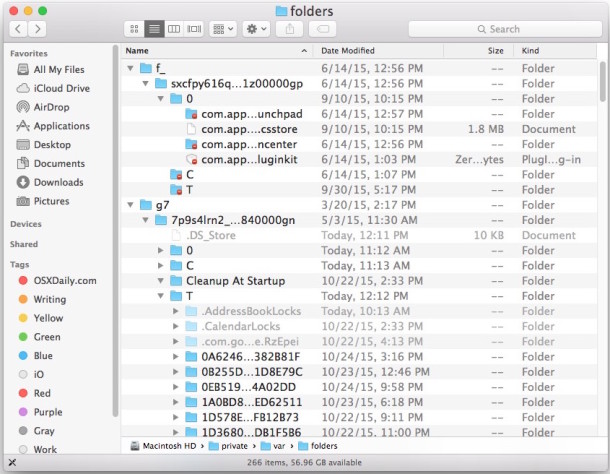 Archivos de caché temporales y carpetas lime del sistema privado en OS X