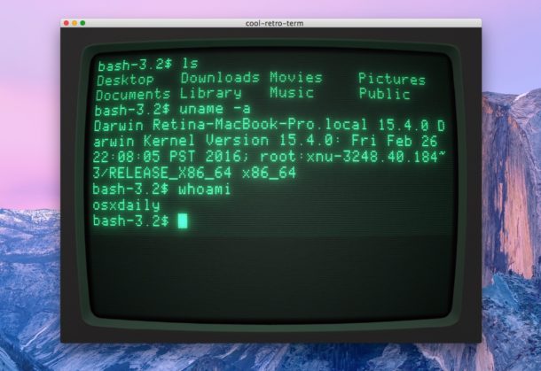Increíble terminal retro Apple APP II 